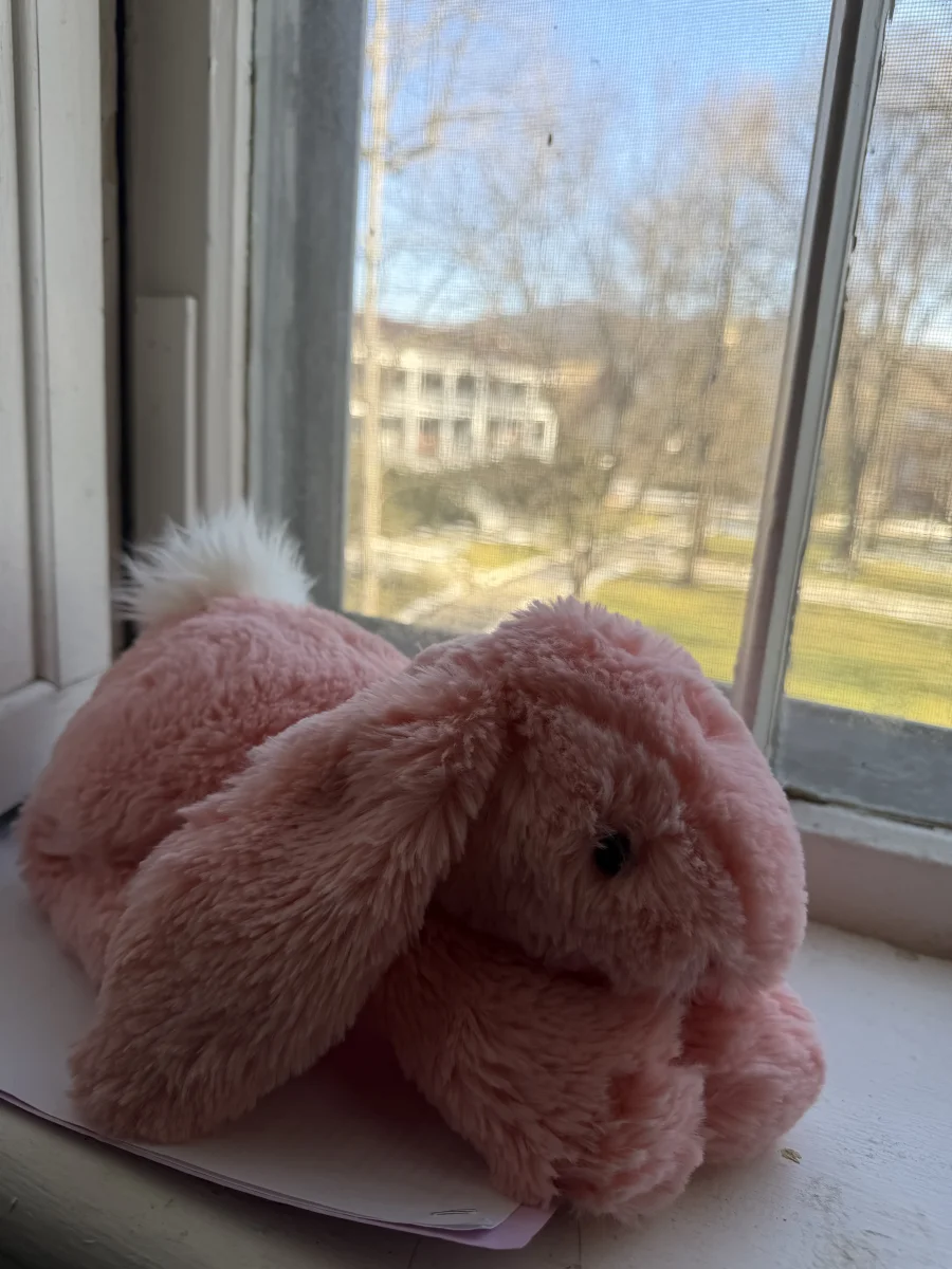 Side - Smudge Apricot Rabbit photo by katsjellies