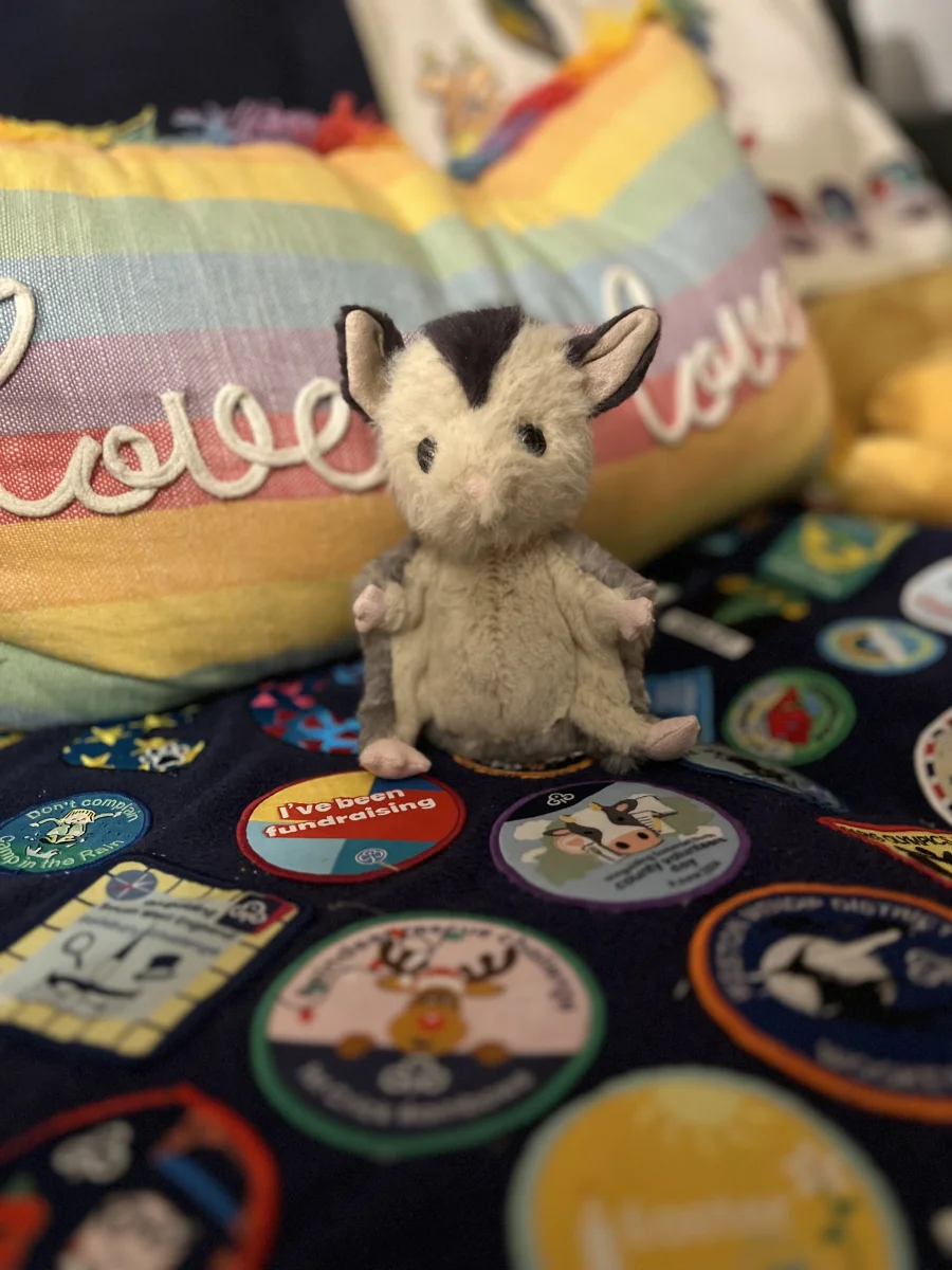 Front - Lolly Sugar Glider photo by Megan_Daffodil