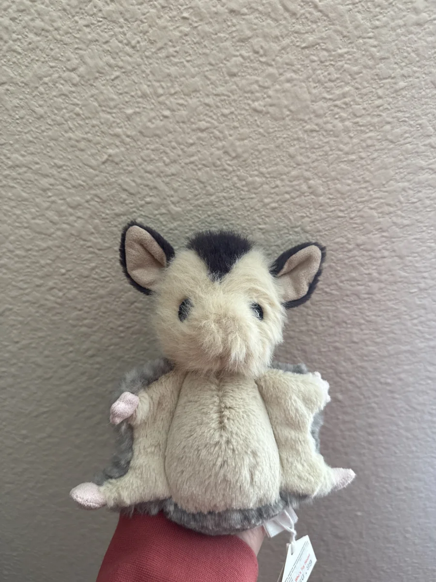Front - Lolly Sugar Glider photo by asia_keane