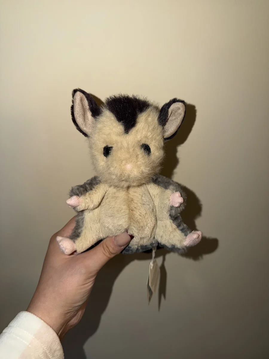 Front - Lolly Sugar Glider photo by MaisieRB