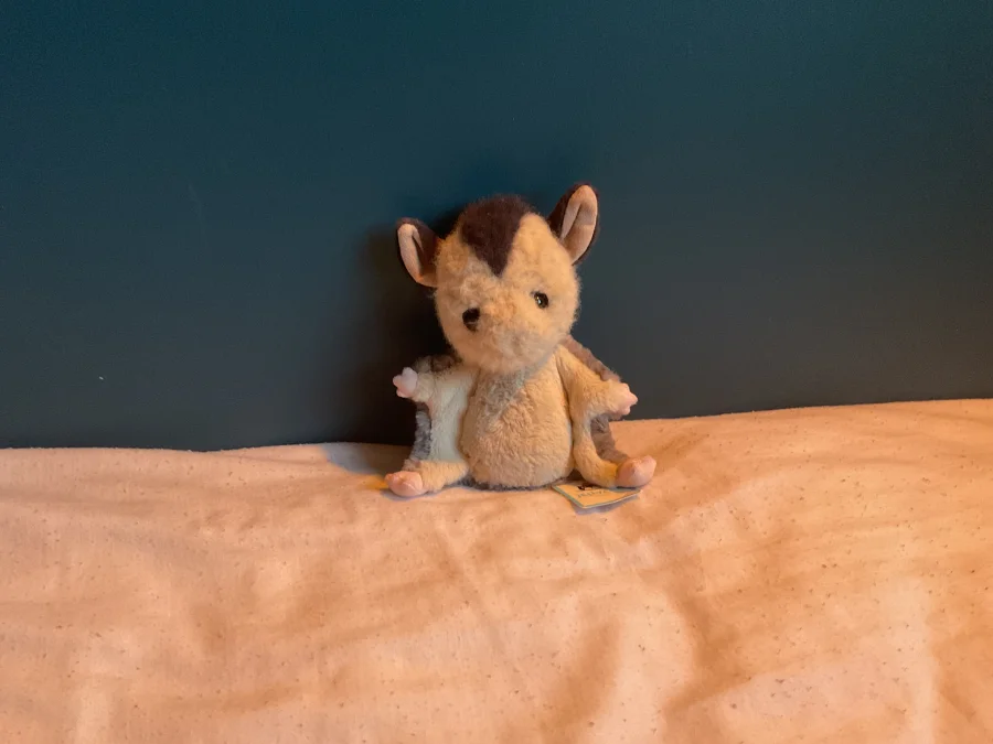 Front - Lolly Sugar Glider photo by JELLYCAT102