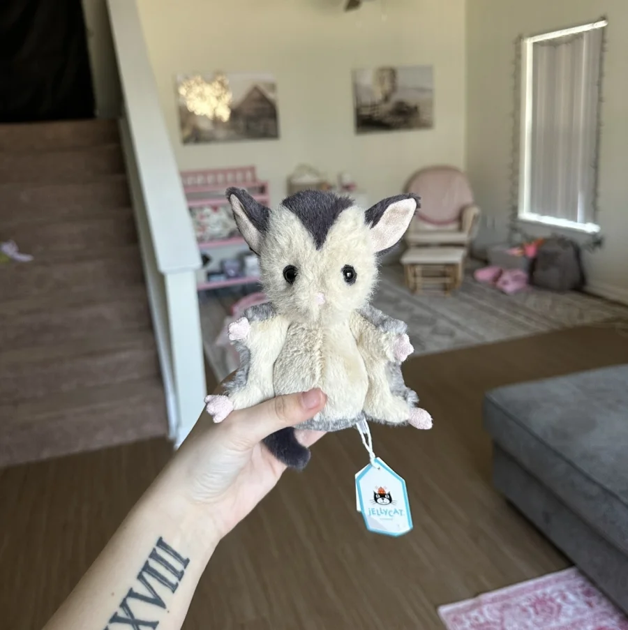 Front - Lolly Sugar Glider photo by JodysJellies