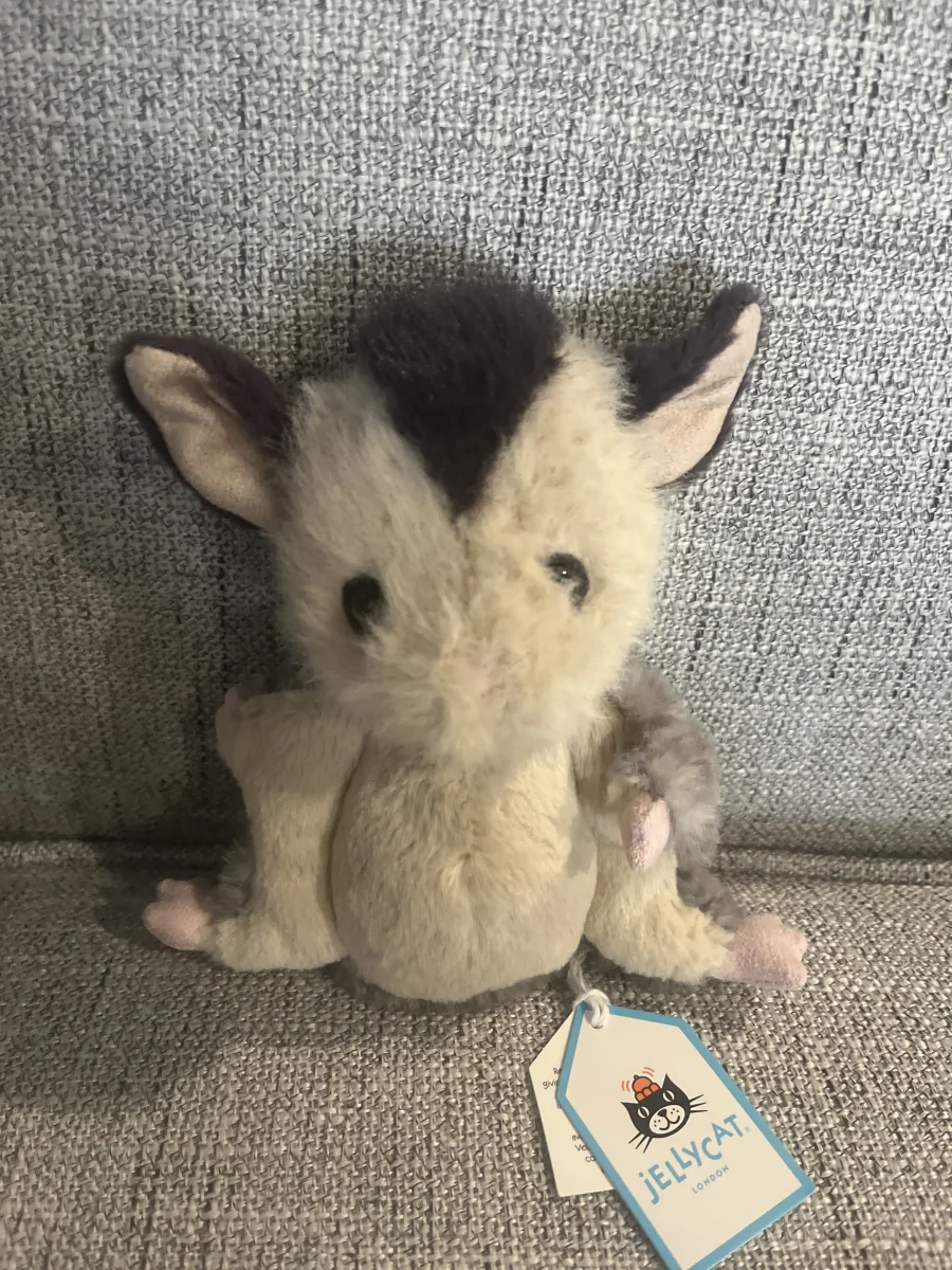 Front - Lolly Sugar Glider photo by McKenna