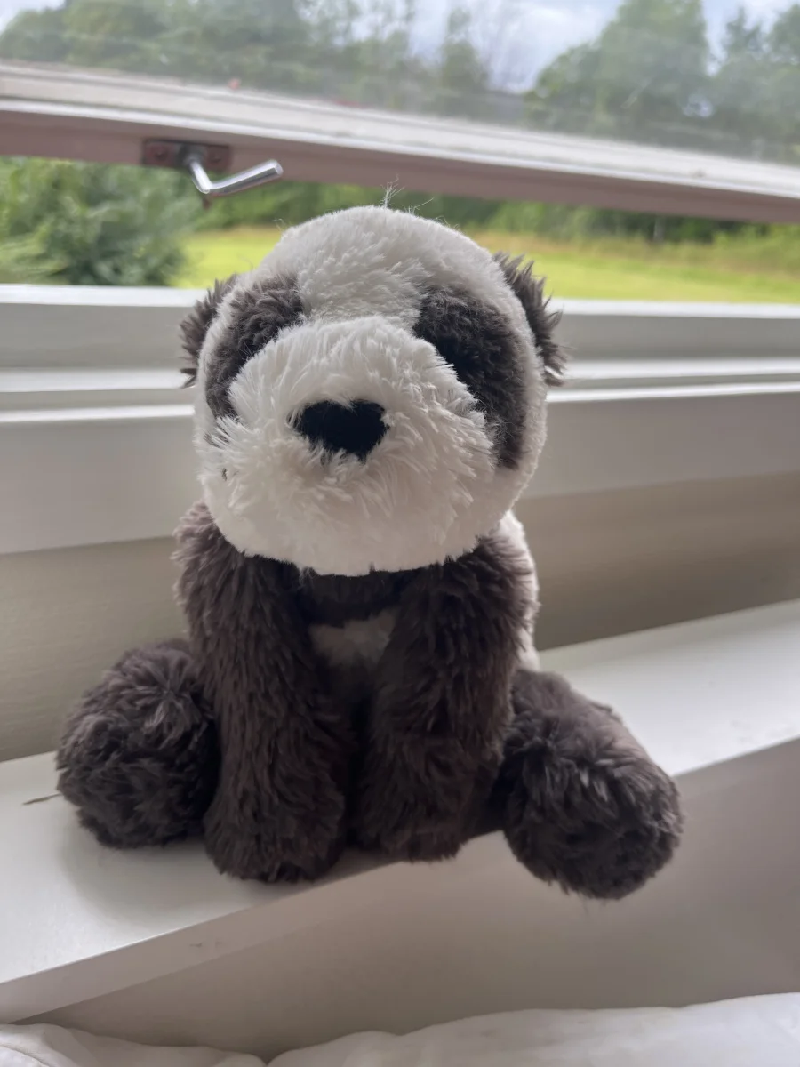Front - Smudge Panda photo by eaheartsjellycats