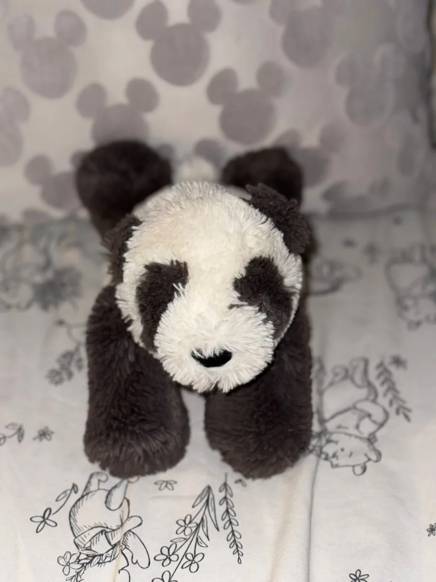 Front - Smudge Panda photo by Rara11xo