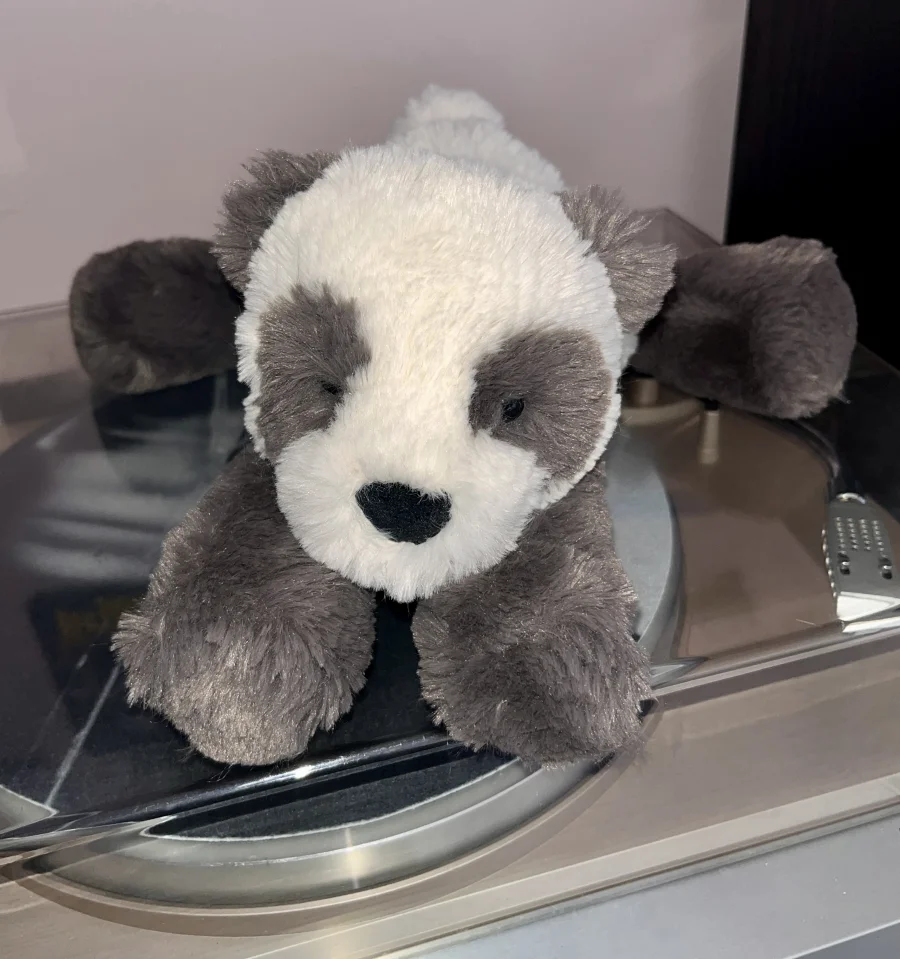 Front - Smudge Panda photo by KristaJ21
