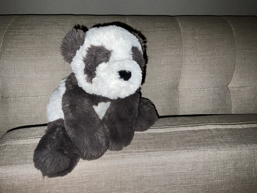 Front - Smudge Panda photo by Bunny284