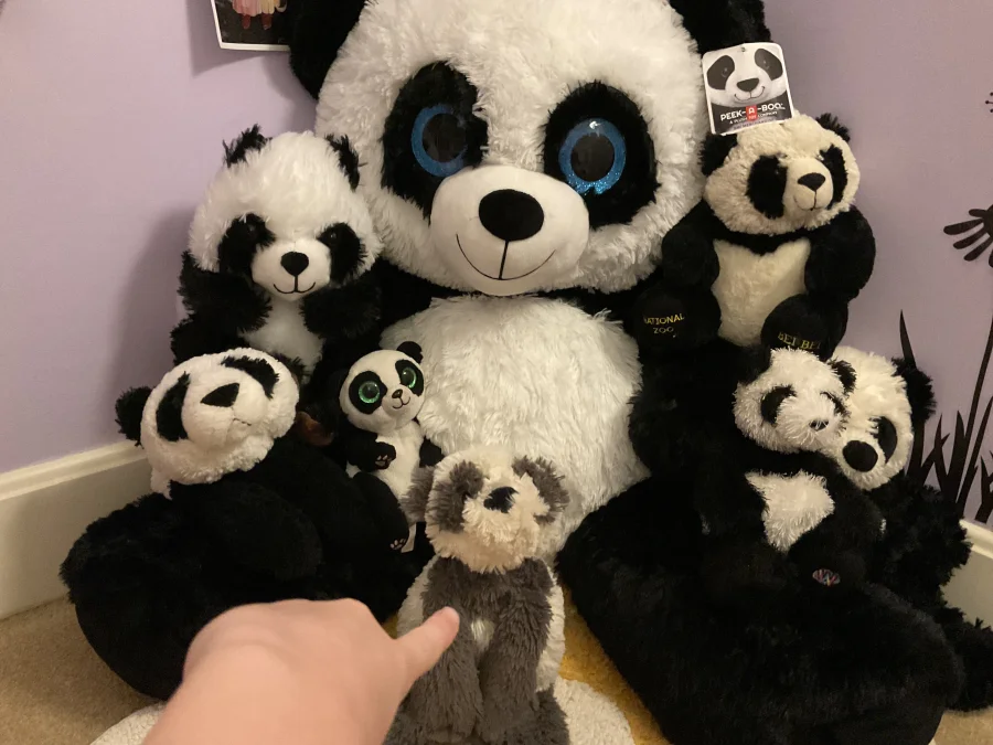 Front - Smudge Panda photo by Panda_Jellycat