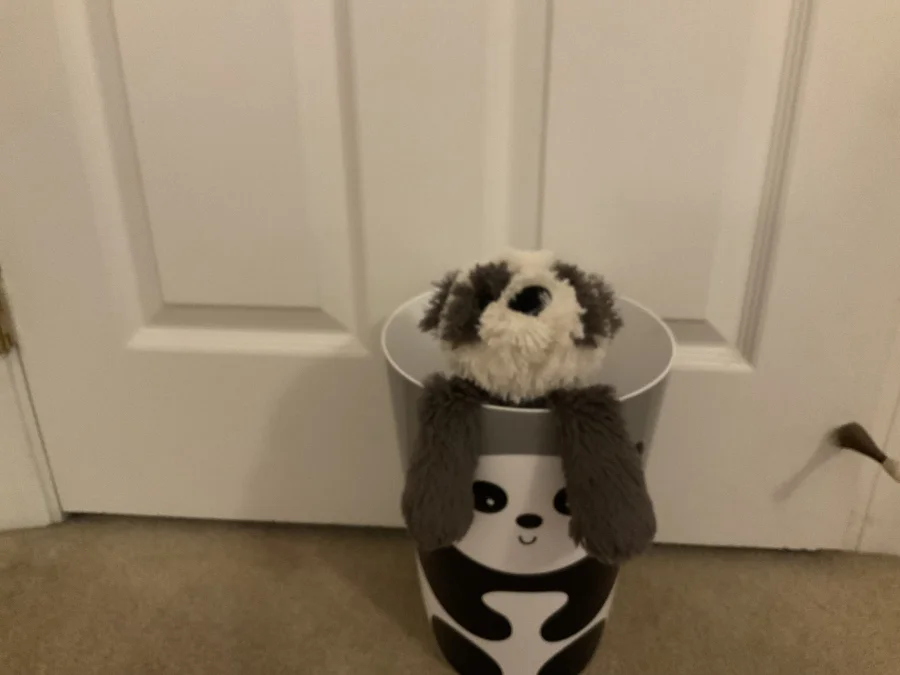 Lifestyle - Smudge Panda photo by Panda_Jellycat