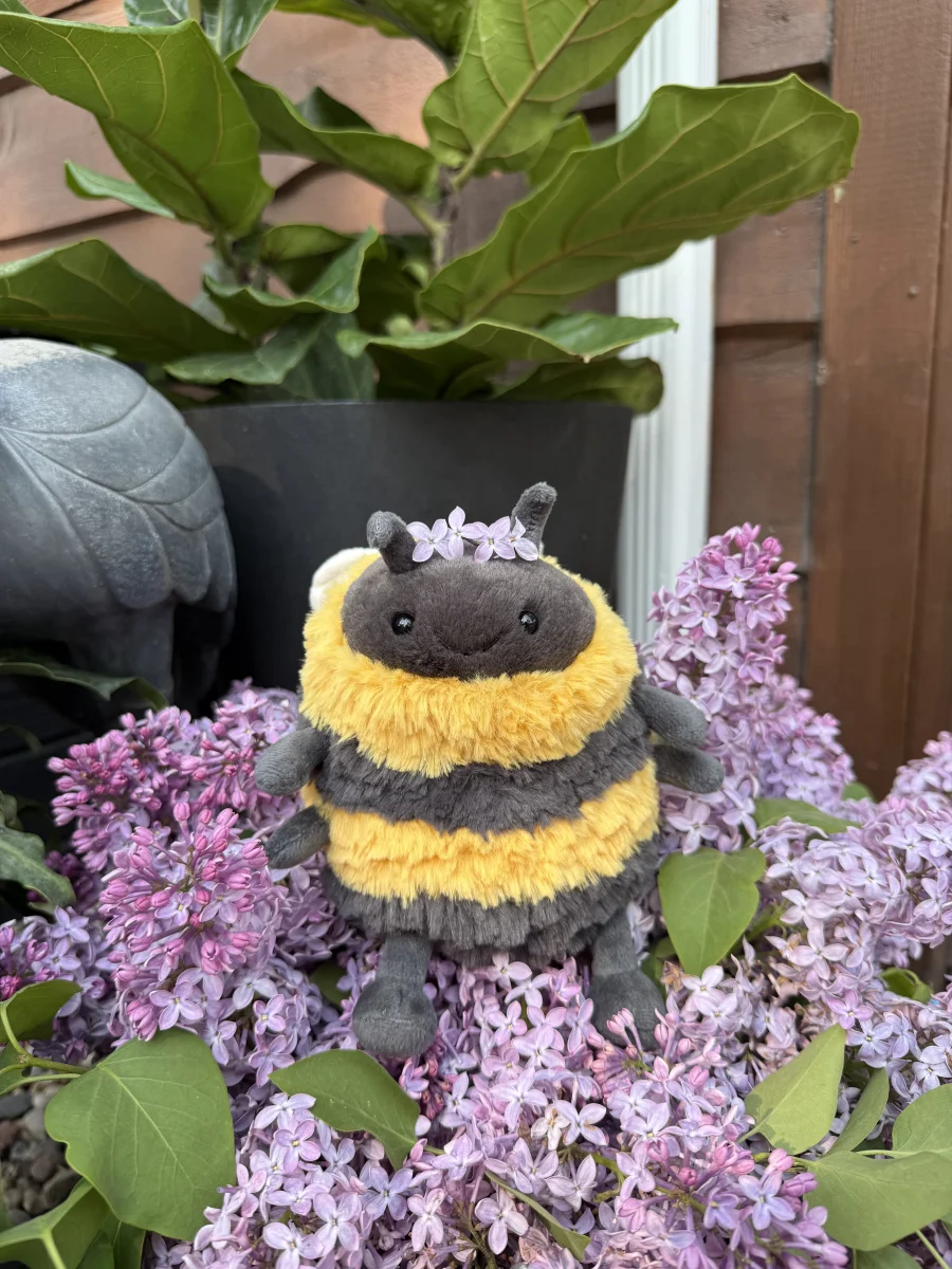 Front - Albee Bee photo by piperrosie