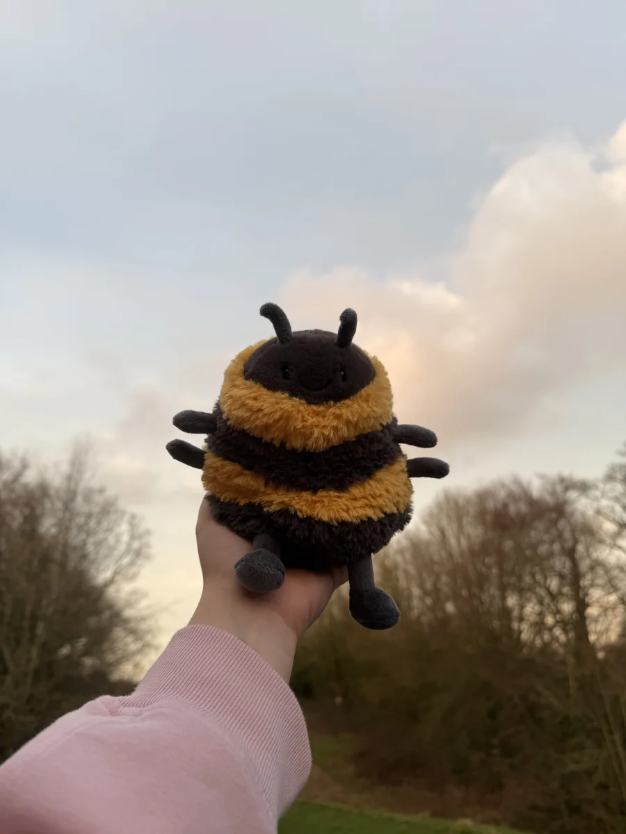 Lifestyle - Albee Bee photo by Louisa21