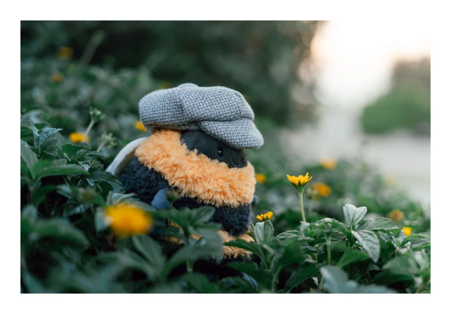 Lifestyle - Albee Bee photo by bonbon5669