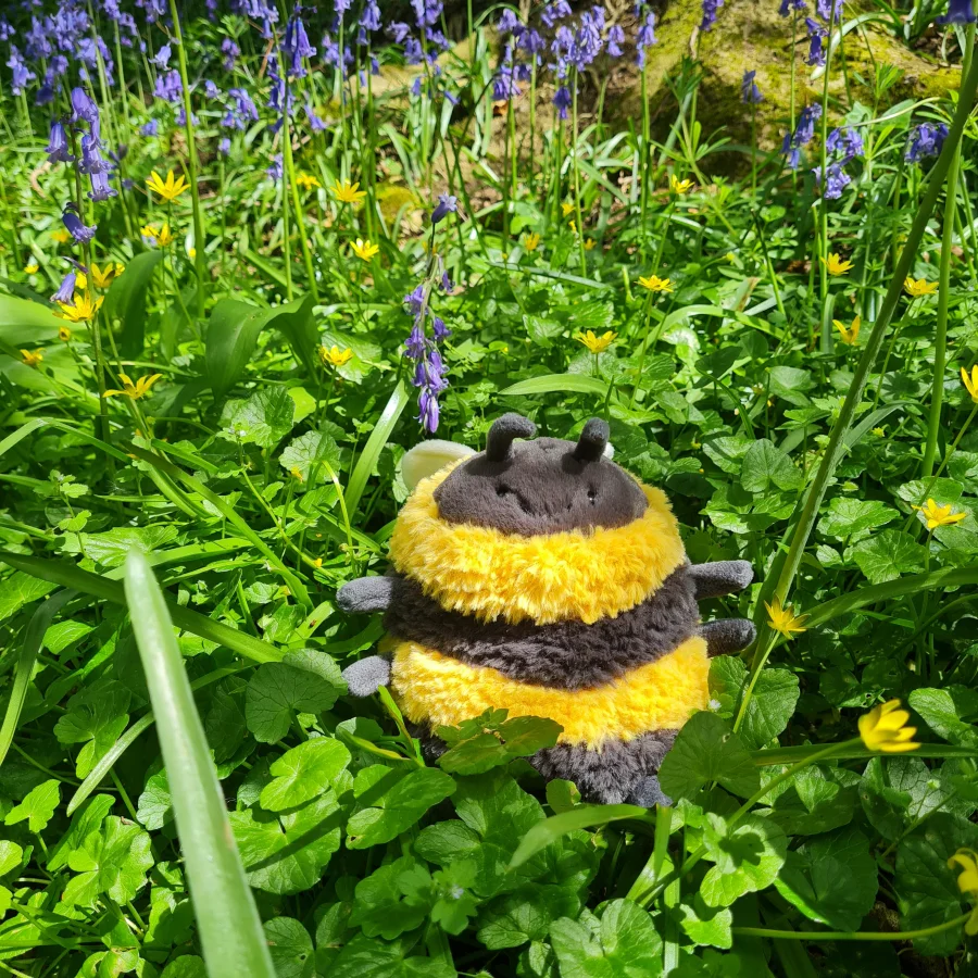 Front - Albee Bee photo by Ebranagh1986