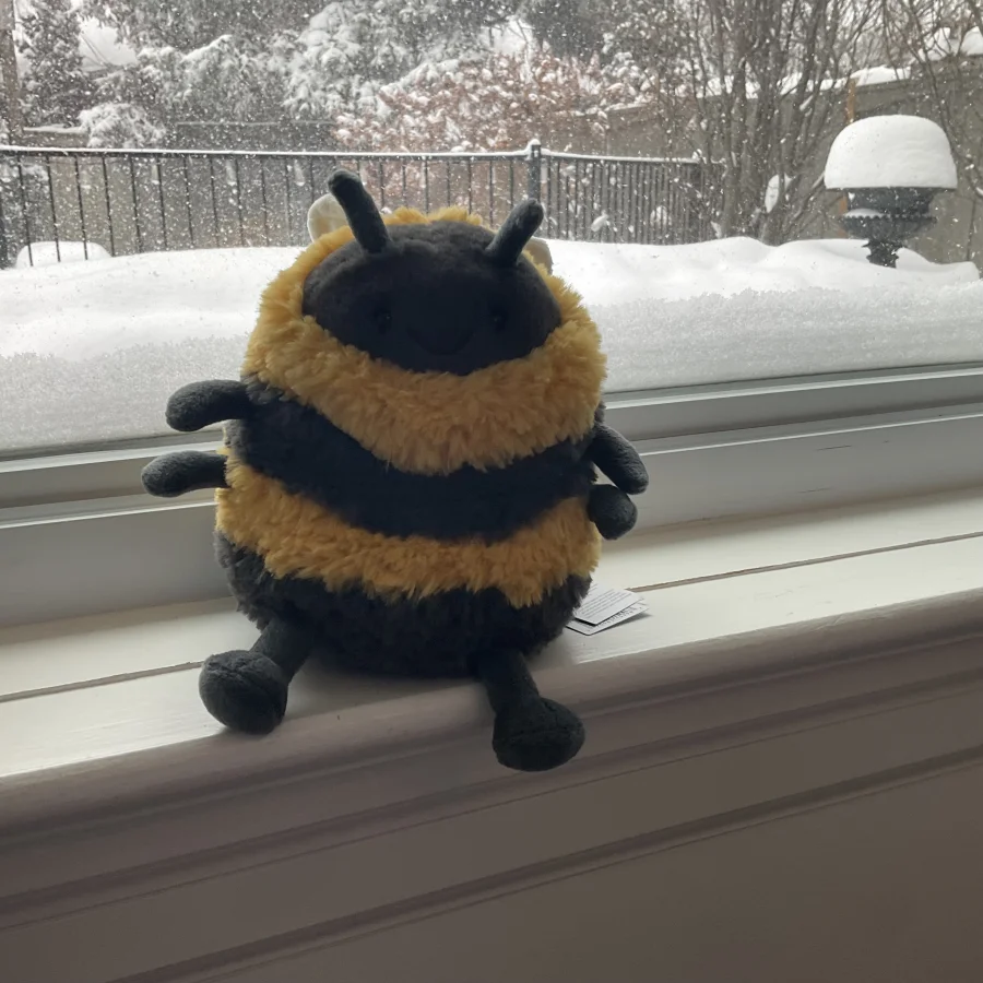 Front - Albee Bee photo by Luxebunny10