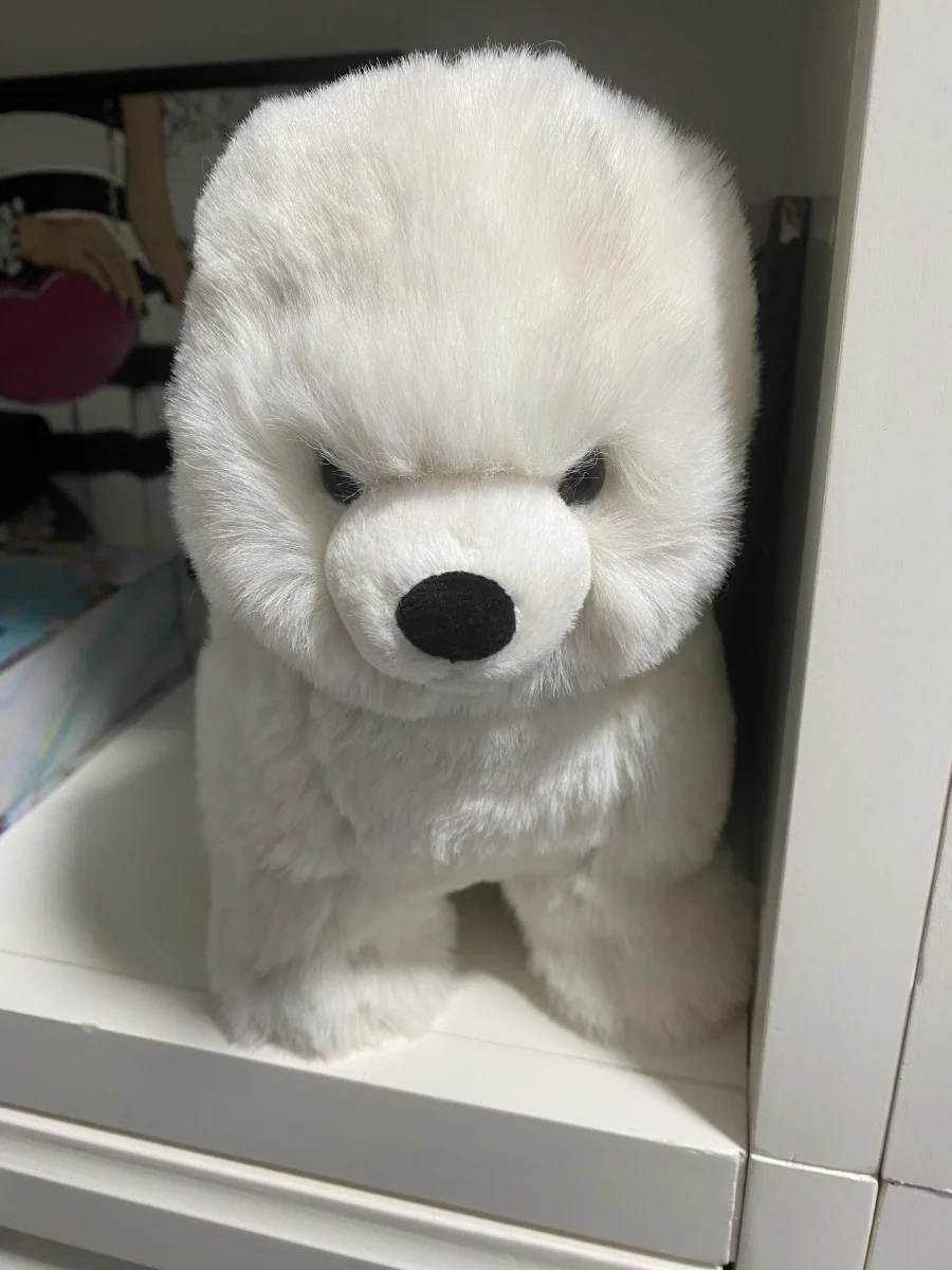 Front - Daphne Pomeranian photo by PinkLotus2023