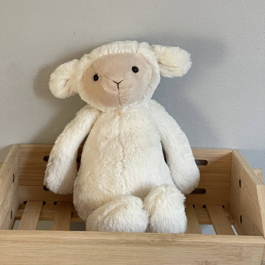 Front - Bashful Lamb - Medium photo by charlotteriddettepage