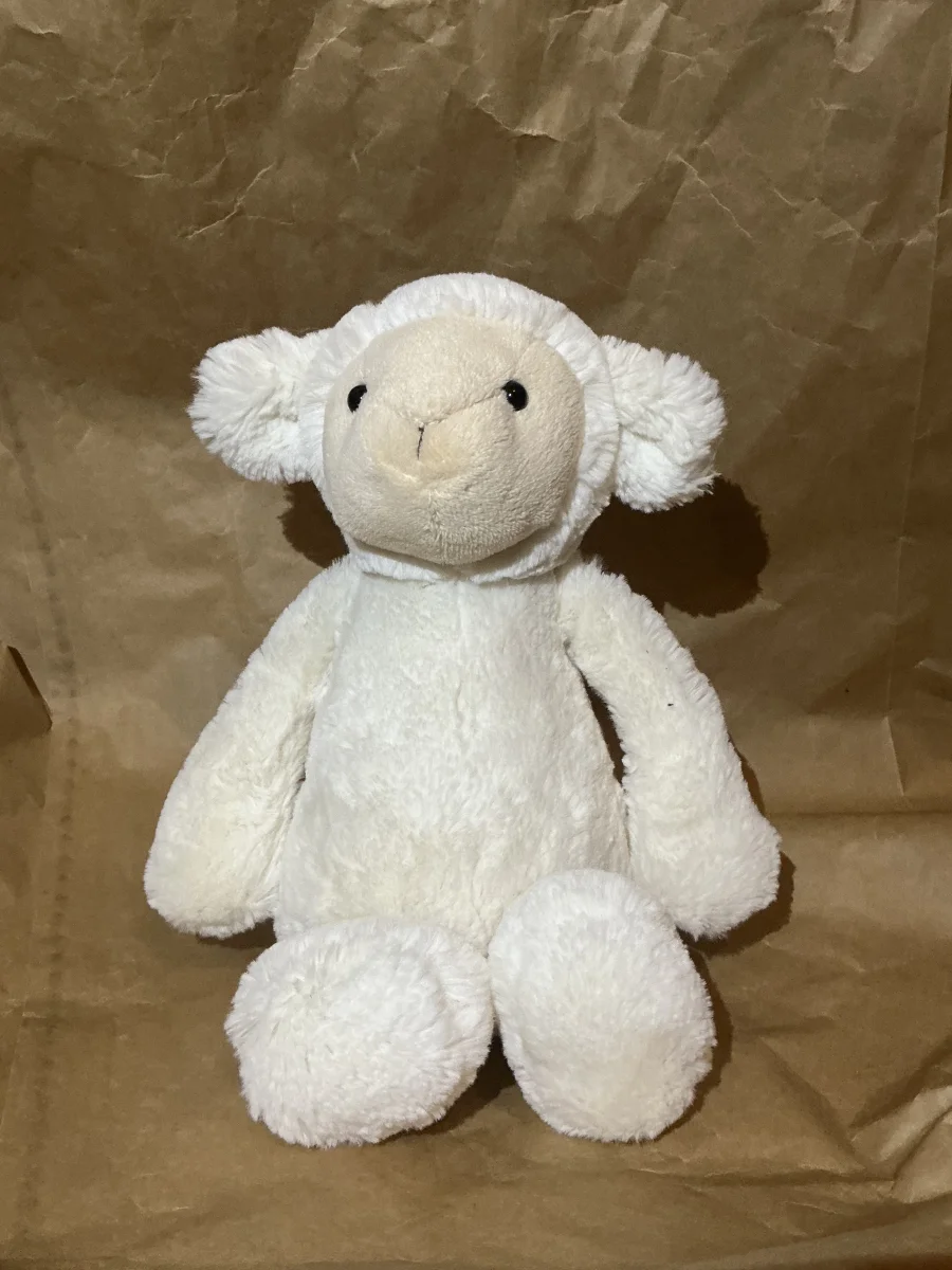 Front - Bashful Lamb - Medium photo by Mary2_2