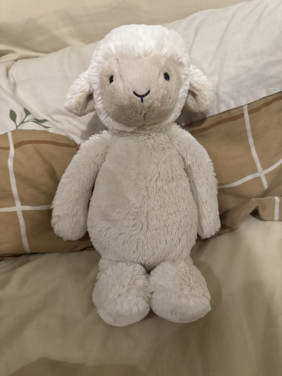 Front - Bashful Lamb - Medium photo by Kcmtthws