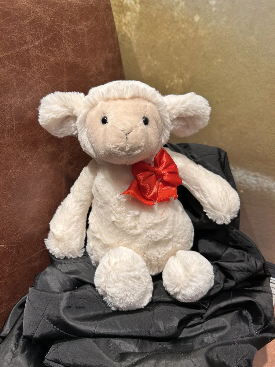 Front - Bashful Lamb - Medium photo by lillyysjellys