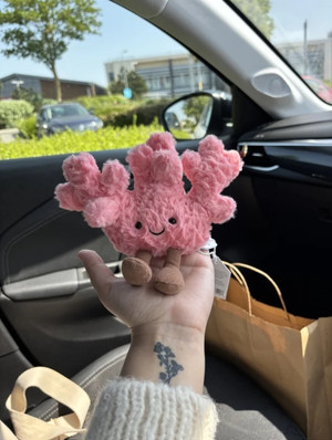 Amuseables Coral Jellycat photo