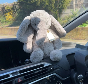 A photo of Bashful Luxe Elephant Thuddeus - Medium Jellycat taken by freyacope7
