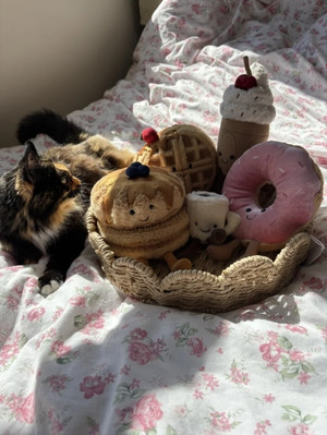 Amuseables Fran Pancakes Jellycat photo
