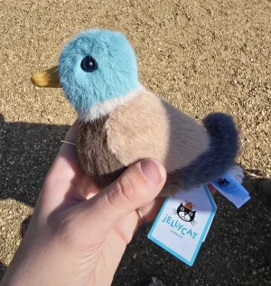 Birdling Mallard Jellycat photo uploaded by Gremlem22NBC