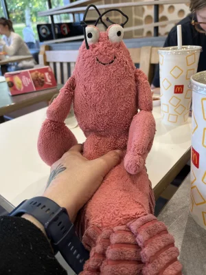 A photo of Larry Lobster Jellycat taken by Larrythelobster