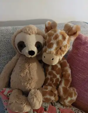 A photo of Bashful Sloth Jellycat taken by beecee94