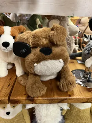 Derreck Dog Jellycat | Jelly Journal