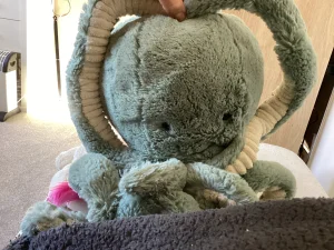 A photo of Odyssey Octopus Jellycat taken by Piggybuba