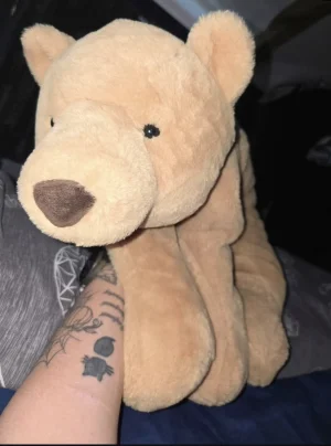 Harvey Bear Jellycat photo uploaded by Gremlem22NBC