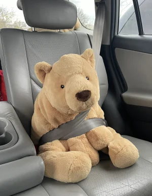 Harvey Bear Jellycat photo