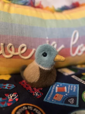 Birdling Mallard Jellycat | Jelly Journal