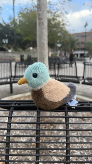 Birdling Mallard Jellycat | Jelly Journal