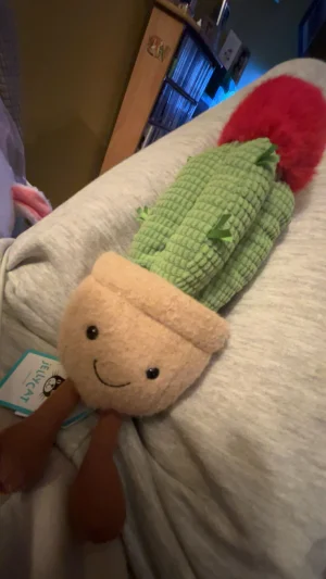 Amuseables Moon Cactus Jellycat photo