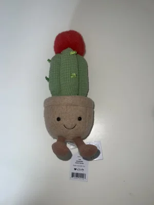 Amuseables Moon Cactus Jellycat photo