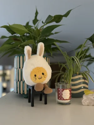 Amuseables Bunny Egg Jellycat photo