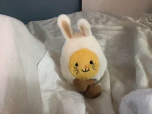 Amuseables Bunny Egg Jellycat photo