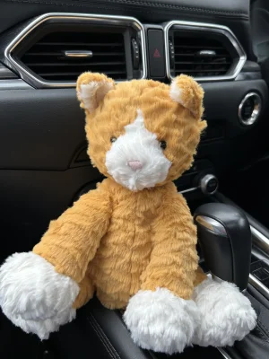Fuddlewuddle Ginger Cat Jellycat photo