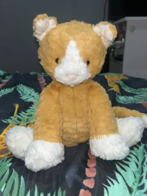 Fuddlewuddle Ginger Cat Jellycat photo uploaded by BeFf_03
