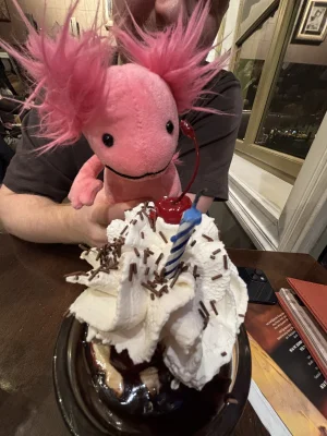 A photo of Alice Axolotl - Small Jellycat taken by Chlo_jayde