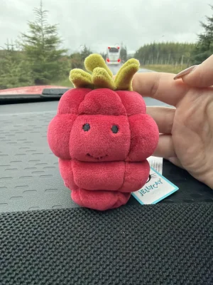 Fabulous Fruit Raspberry Jellycat photo