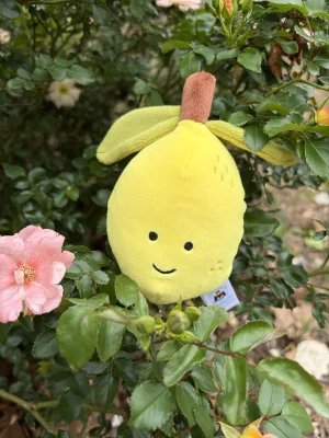 A photo of Fabulous Fruit Lemon Jellycat taken by AmberrGolden