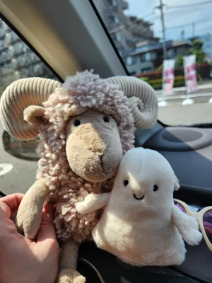 A photo of Ooky Ghost Jellycat taken by emilliebee