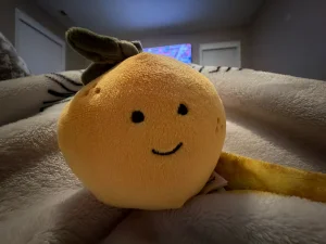 Fabulous Fruit Orange Jellycat photo