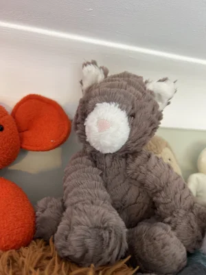 A photo of Fuddlewuddle Cat Jellycat taken by jellycat1235