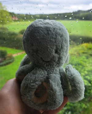 A photo of Odyssey Octopus - Little Jellycat taken by Pandabs
