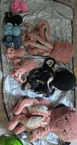 A photo of Odell Octopus - Huge Jellycat taken by Melerin