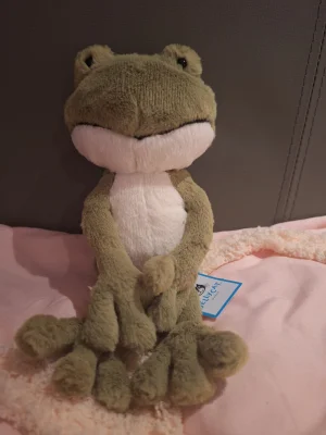 Finnegan Frog Jellycat photo
